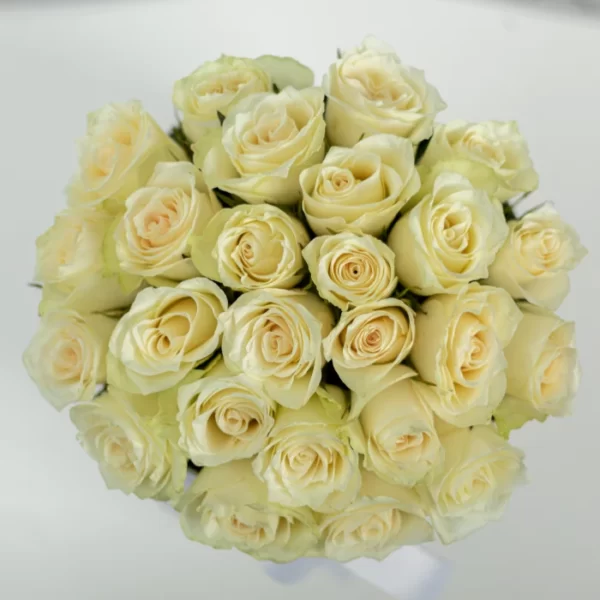 25 belyh roz v korobke tiffani 4